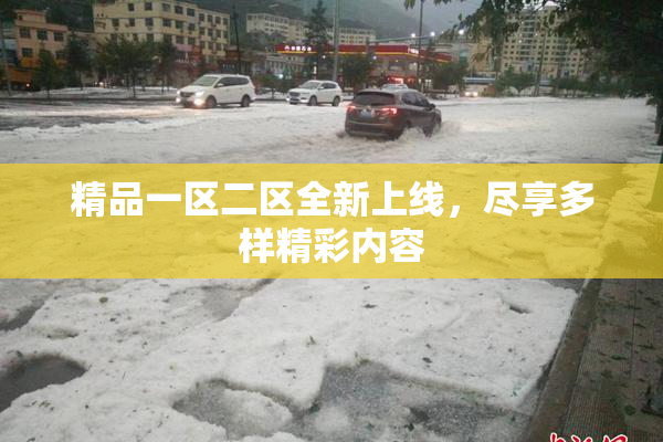 精品一区二区全新上线，尽享多样精彩内容