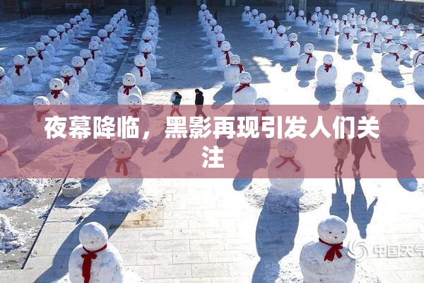 夜幕降临，黑影再现引发人们关注