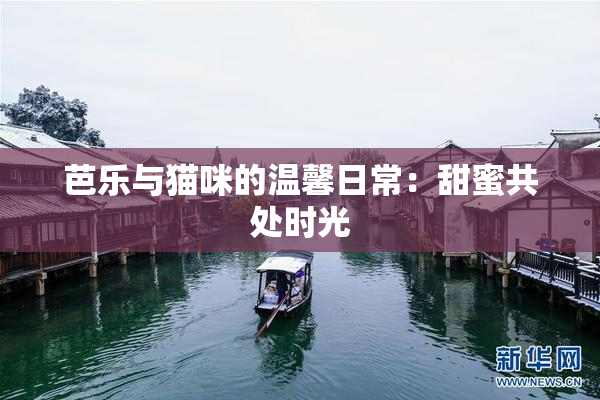 芭乐与猫咪的温馨日常：甜蜜共处时光