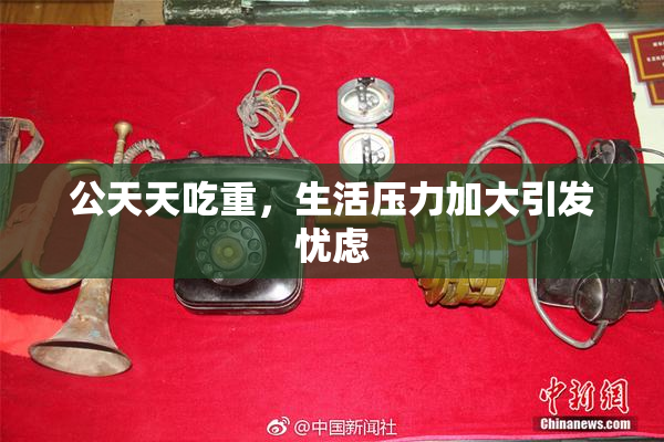 公天天吃重，生活压力加大引发忧虑