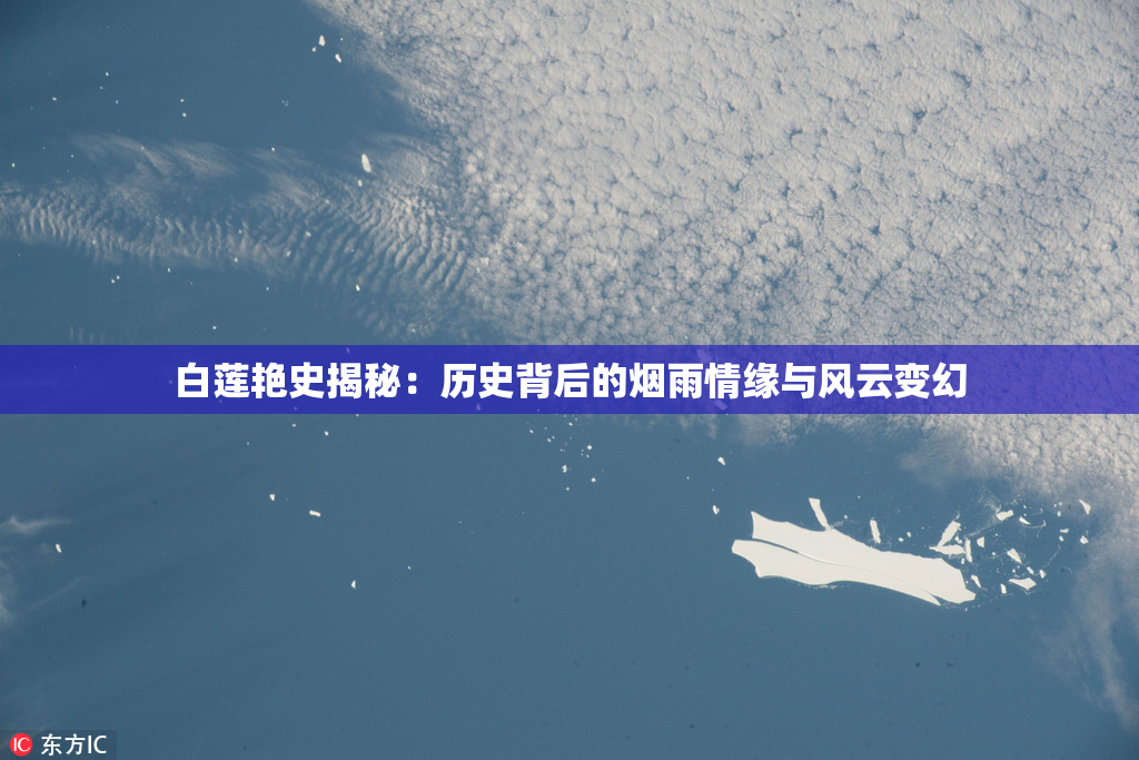 白莲艳史揭秘：历史背后的烟雨情缘与风云变幻