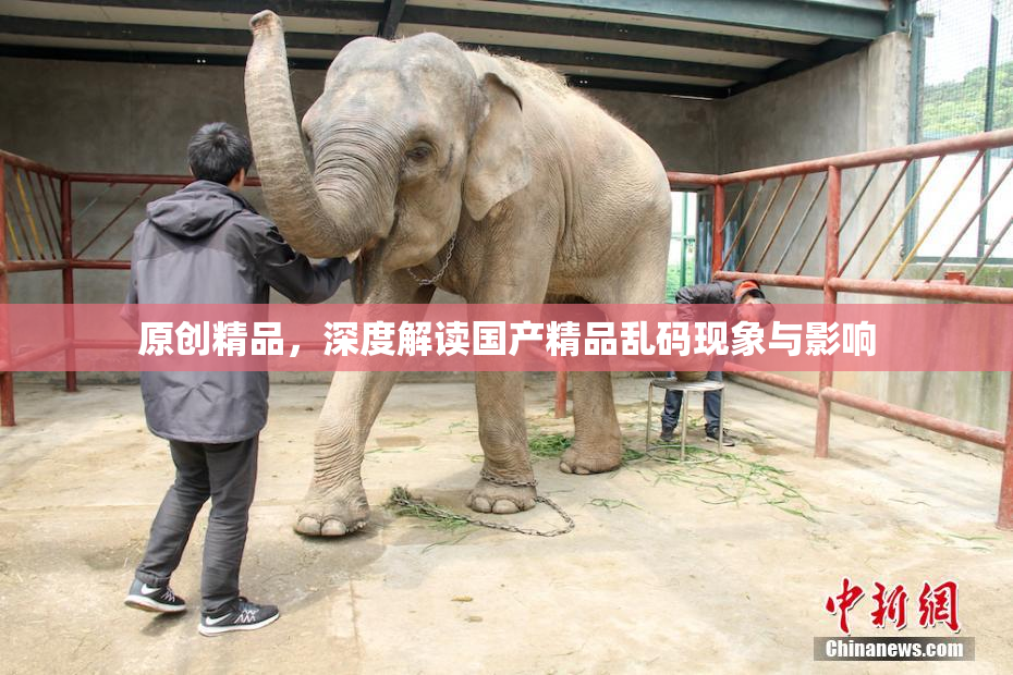 原创精品，深度解读国产精品乱码现象与影响