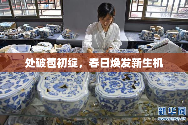 处破苞初绽，春日焕发新生机