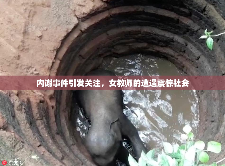 内谢事件引发关注，女教师的遭遇震惊社会