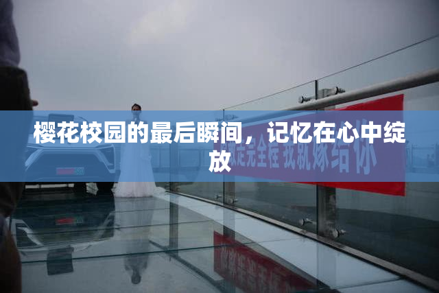 樱花校园的最后瞬间，记忆在心中绽放