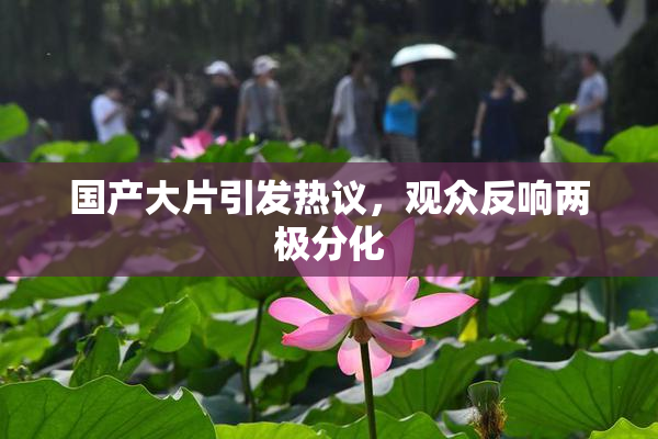 国产大片引发热议，观众反响两极分化