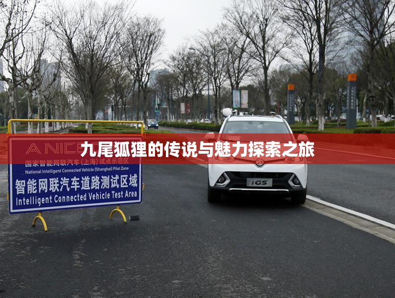 九尾狐狸的传说与魅力探索之旅