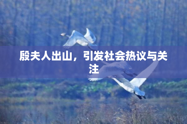 殷夫人出山，引发社会热议与关注