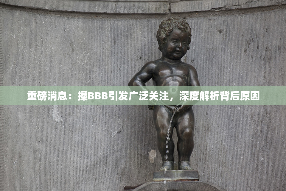 重磅消息：搡BBB引发广泛关注，深度解析背后原因