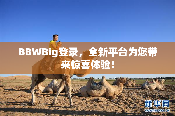 BBWBig登录，全新平台为您带来惊喜体验！