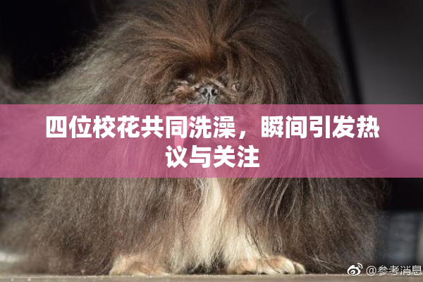 四位校花共同洗澡，瞬间引发热议与关注