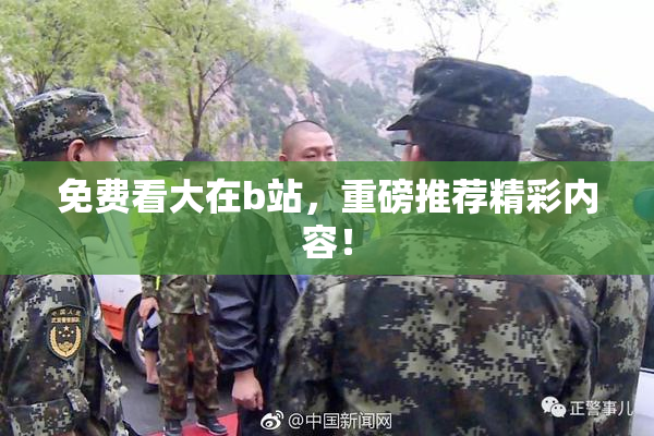 免费看大在b站，重磅推荐精彩内容！