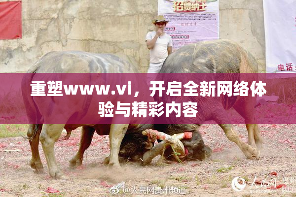 重塑www.vi，开启全新网络体验与精彩内容