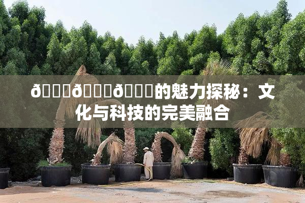 🍆🍑🔞的魅力探秘：文化与科技的完美融合