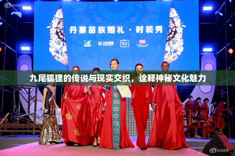 九尾狐狸的传说与现实交织，诠释神秘文化魅力