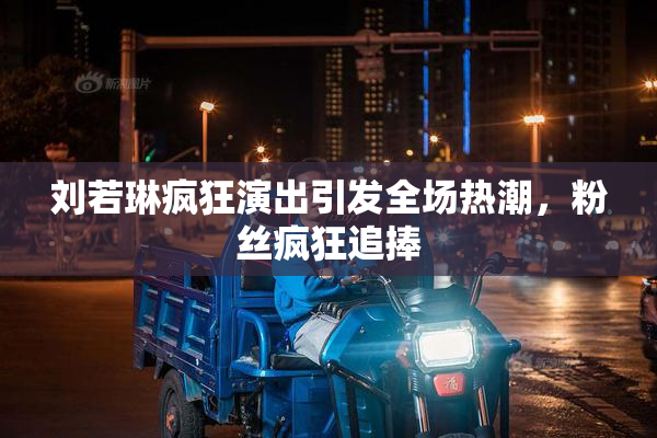 刘若琳疯狂演出引发全场热潮，粉丝疯狂追捧