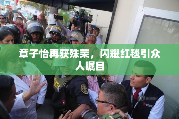 章子怡再获殊荣，闪耀红毯引众人瞩目