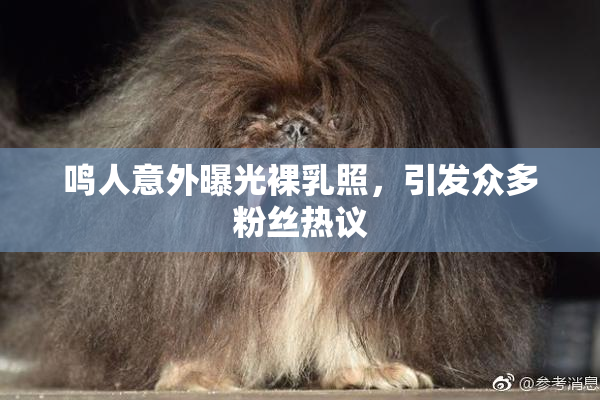 鸣人意外曝光裸乳照，引发众多粉丝热议