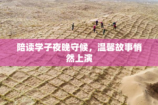 陪读学子夜晚守候，温馨故事悄然上演