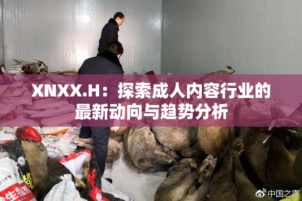 XNXX.H：探索成人内容行业的最新动向与趋势分析