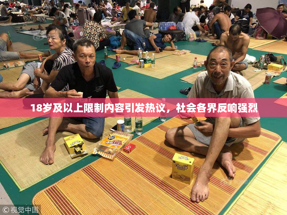 18岁及以上限制内容引发热议，社会各界反响强烈