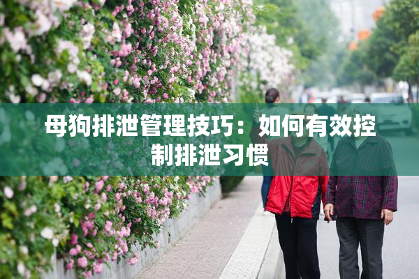 母狗排泄管理技巧：如何有效控制排泄习惯