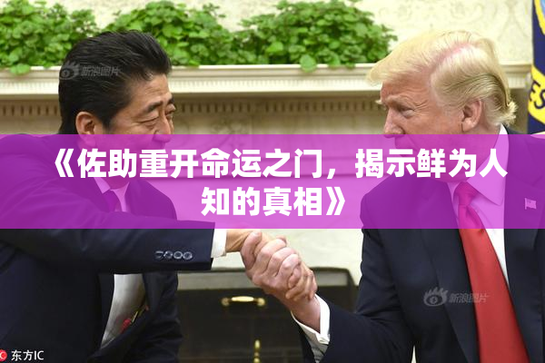 《佐助重开命运之门，揭示鲜为人知的真相》