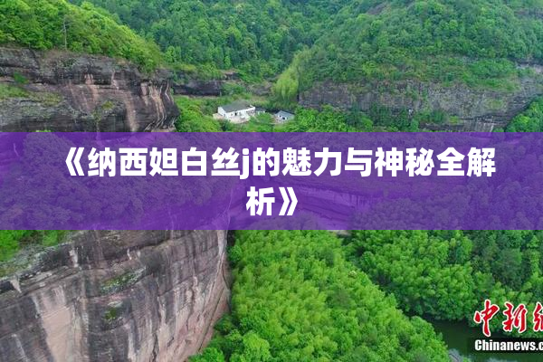 《纳西妲白丝j的魅力与神秘全解析》