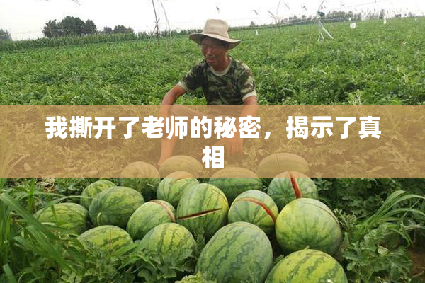 我撕开了老师的秘密，揭示了真相