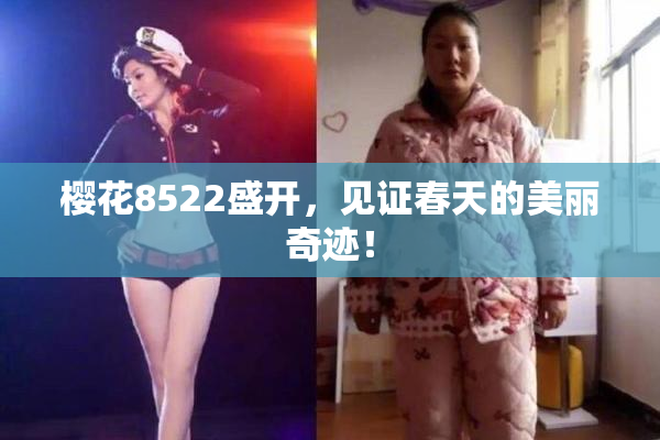 樱花8522盛开，见证春天的美丽奇迹！