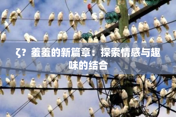 ζ？羞羞的新篇章：探索情感与趣味的结合