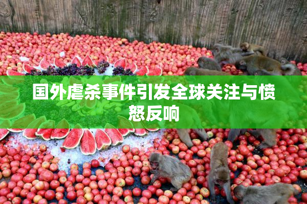 国外虐杀事件引发全球关注与愤怒反响