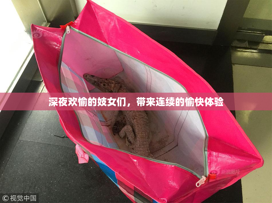 深夜欢愉的妓女们，带来连续的愉快体验