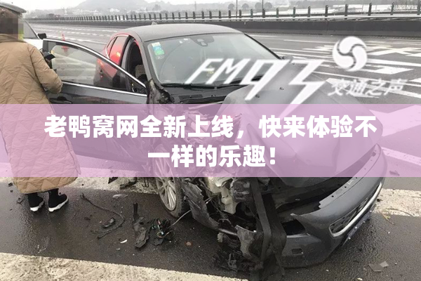 老鸭窝网全新上线，快来体验不一样的乐趣！