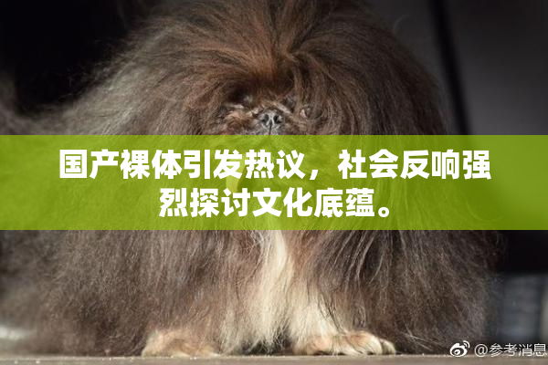 国产裸体引发热议，社会反响强烈探讨文化底蕴。