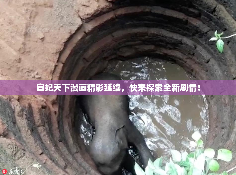 宦妃天下漫画精彩延续，快来探索全新剧情！