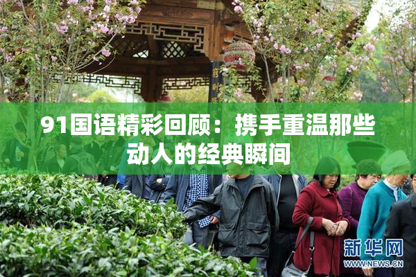 91国语精彩回顾：携手重温那些动人的经典瞬间