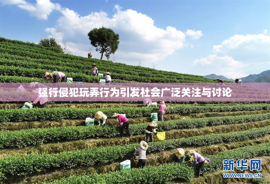 强行侵犯玩弄行为引发社会广泛关注与讨论