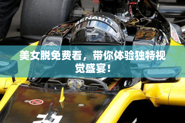 美女脱免费看，带你体验独特视觉盛宴！