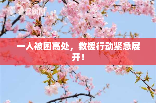 一人被困高处，救援行动紧急展开！