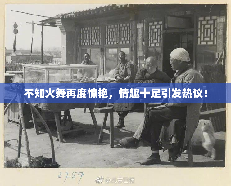 不知火舞再度惊艳，情趣十足引发热议！