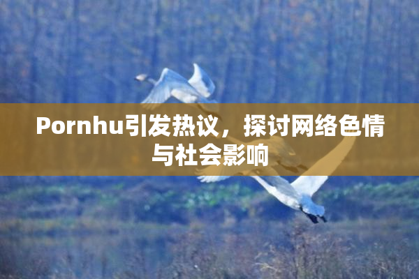 Pornhu引发热议，探讨网络色情与社会影响