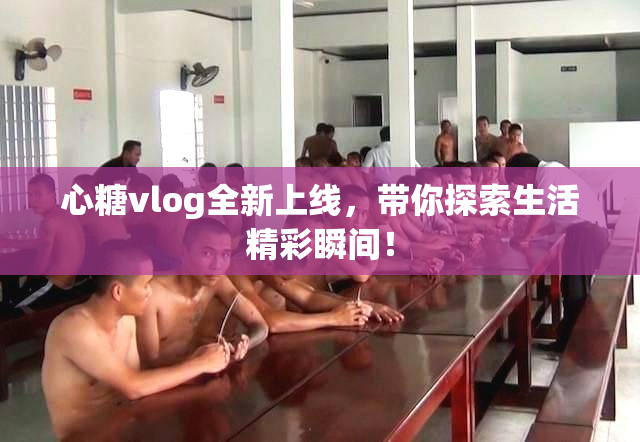 心糖vlog全新上线，带你探索生活精彩瞬间！