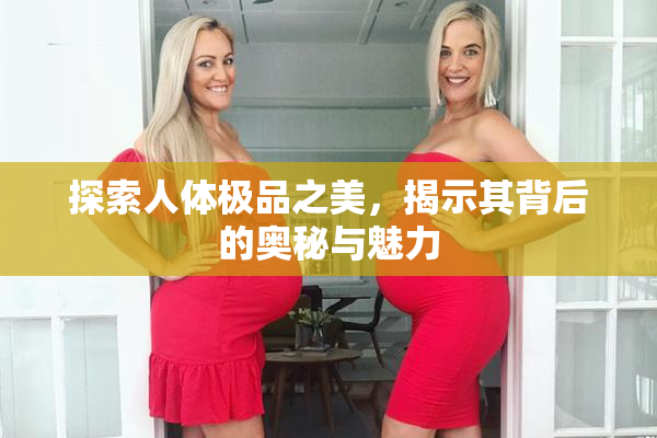探索人体极品之美，揭示其背后的奥秘与魅力