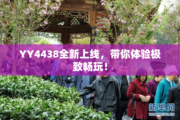 YY4438全新上线，带你体验极致畅玩！