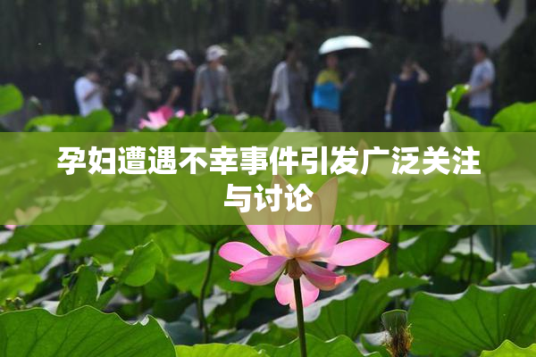 孕妇遭遇不幸事件引发广泛关注与讨论