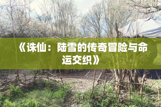 《诛仙：陆雪的传奇冒险与命运交织》
