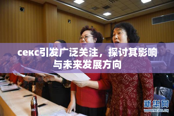 ceкс引发广泛关注，探讨其影响与未来发展方向