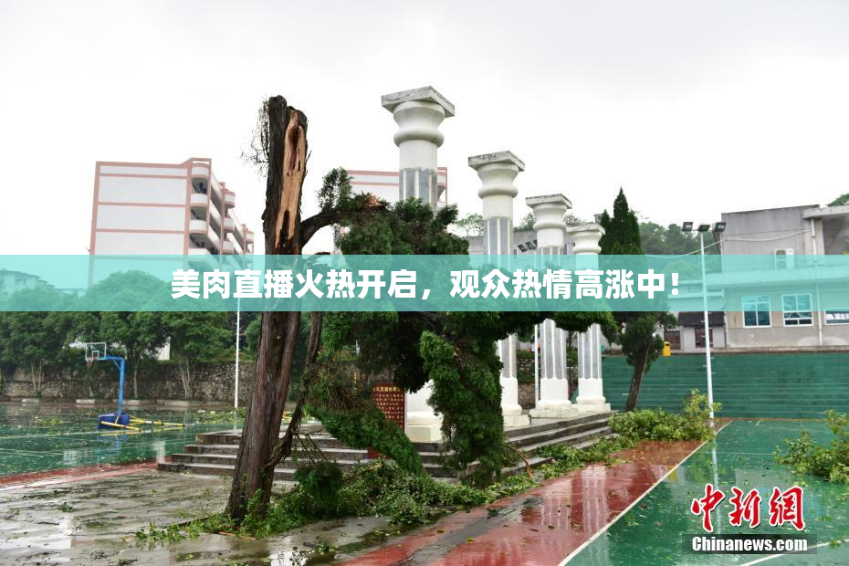 美肉直播火热开启，观众热情高涨中！