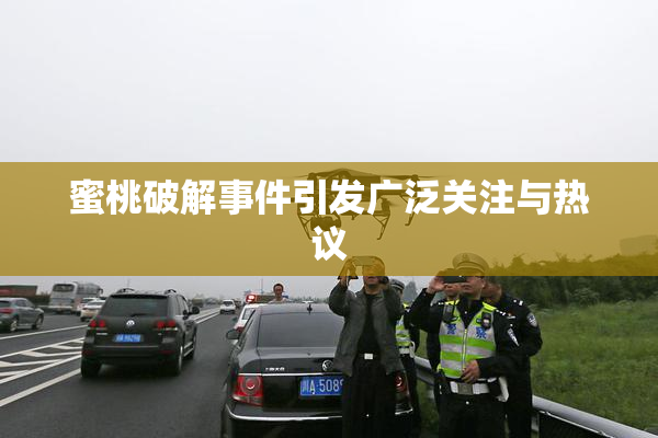 蜜桃破解事件引发广泛关注与热议